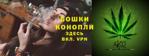 шишки Володарск