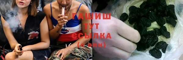 гашик Вяземский