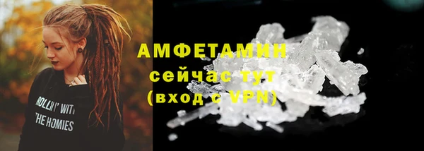 гашик Вяземский