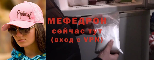 гашик Вяземский