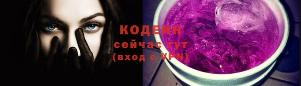 гашик Вяземский