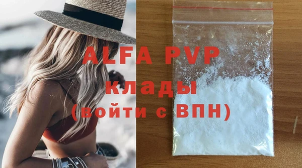 гашик Вяземский