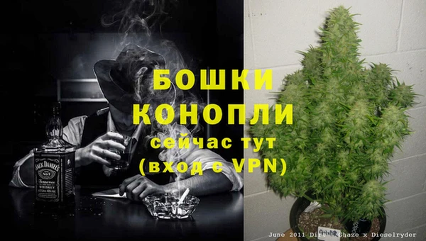 молекула духа Вязьма