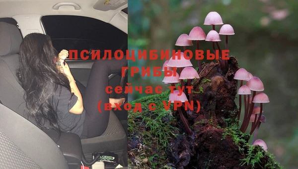 ECSTASY Вязники