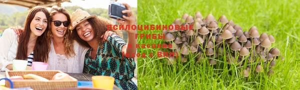 молекула духа Вязьма