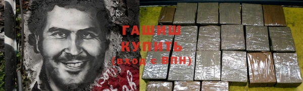 гашик Вяземский